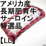 ڣۡñ3380/ۡñ7.3ۡۥꥫĹ󡡥̺ѤߡʡLL