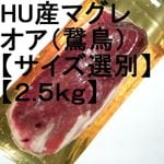 �ڣ��ۡ�ñ��2660��/���ۡ�ñ��2.5���ۥϥ󥬥꡼�����ޥ��졡�ɡ������������ʡ�(�Ļ��������������)�������������̡���2.5���