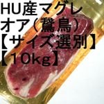 �ڣ��ۡ�ñ��2390��/���ۡ�ñ��10���ۥϥ󥬥꡼�����ޥ��졡�ɡ������������ʡ�(�Ļ��������������)�������������̡���10���