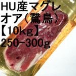 ڣۡñ2630/ۡñ10ۥϥ󥬥꡼ޥ졡ɡʡ250-300硡(Ļ)