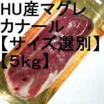 �ڣ��ۡ�ñ��2980��/kg�ۡ�ñ��5���ۥϥ󥬥꡼�����ޥ��졡�ɡ����ʡ��롡�����ʡ������������̡���5���