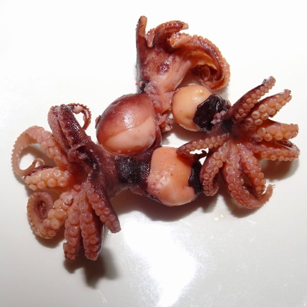 ２ 単価1000円 ｋｇ 単位6ｋｇ イイダコ ホール 内臓除去済み 特選品 通常タイプ 水産原料 タコ イカ ポセイドンフーズ 業務用食材の卸売 通販