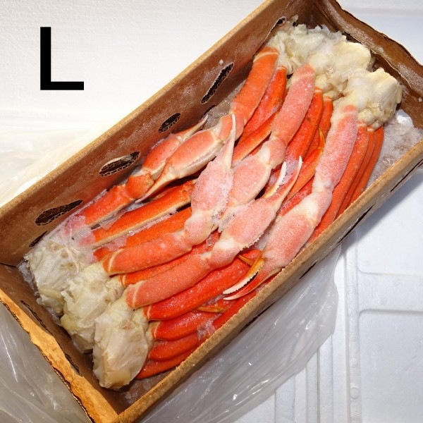 【２０日18時00分～20時00分】シャイン　3キロ　本ズワイガニ 2】【単価3750円/kg】【単位3.6kg】カナダ産 ボイル 本ズワイガニ