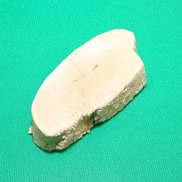 ڣۡñ8270/ۡñ̡1ۥϥ󥬥꡼ե顡ʡ롡åס50