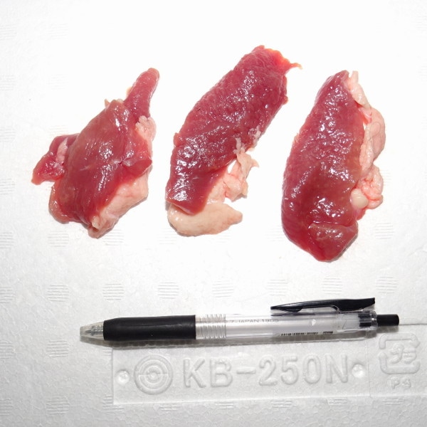 �ڣ��ۡ�ñ��910��/���ۡ�ñ��12���۹��������Ȥ��ʾ����ˡ�������