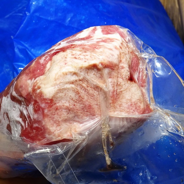 �ڣ��ۡ�ñ��3480��/���ۡ�ñ��4.5���ۥ����ꥢ�����ߥ륯�ե��åɥ������롡�७���󡡡������߻Ƶ������������