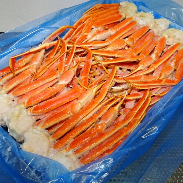 2】【単価2300円/kg】【単位9.07kg】ノルウェー産 ボイル 本