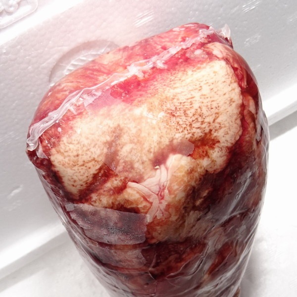 �ڣ��ۡ�ñ��3280��/���ۡ�ñ��5���۹�ʪ��������ʵ��भ����˥֥��å�����̵������̵����V���åȡ�������