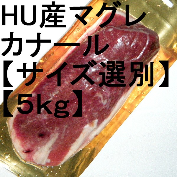 �ڣ��ۡ�ñ��2770��/kg�ۡ�ñ��5���ۥϥ󥬥꡼�����ޥ��졡�ɡ����ʡ��롡�����ʡ������������̡���5���