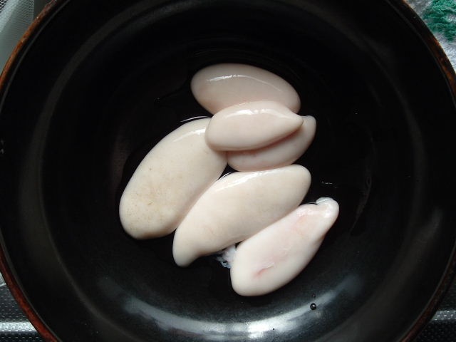 �ڣ��ۡ�ñ��1080��/�ѥå��ۡ�ñ�̣��ѥå��۰�ɲ��˭ͽ��������ŷ���ޥ�������ҡ������ʡ�500��