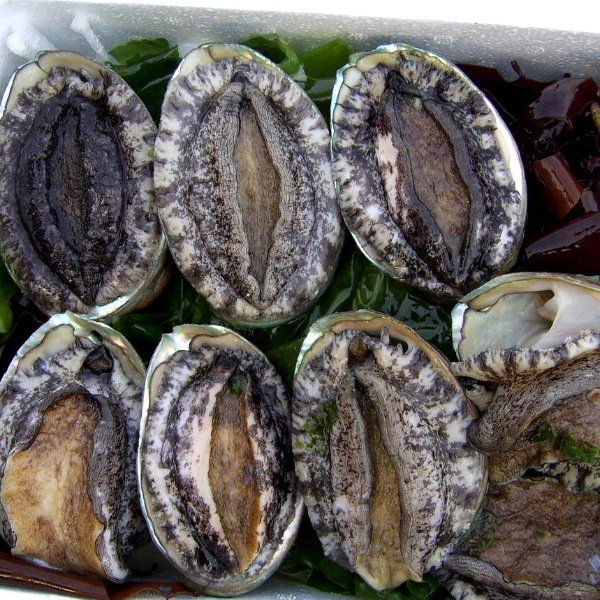 �ڣ��ۡ�ñ����2980��/���ۡ�ñ��1���۰�ɲ�����ܥ�������ӡ��ϥ͡������ʡ�30/40��������IQF