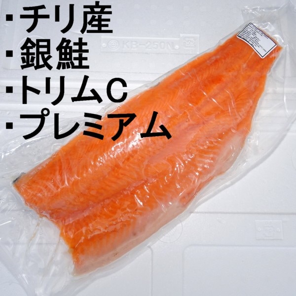 ڣۡñ2050/ۡñ10ۥ껺ʥ󥶥ˡե졡ȥCץߥࡡ