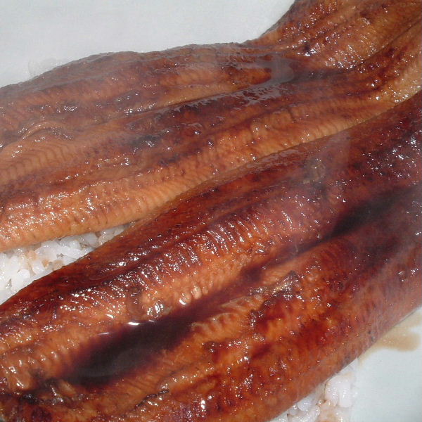 �ڣ��ۡ�ñ��2950��/���ۡ�ñ��10����ͭƬ�����ʤ����Ƥ���ʢ������25��