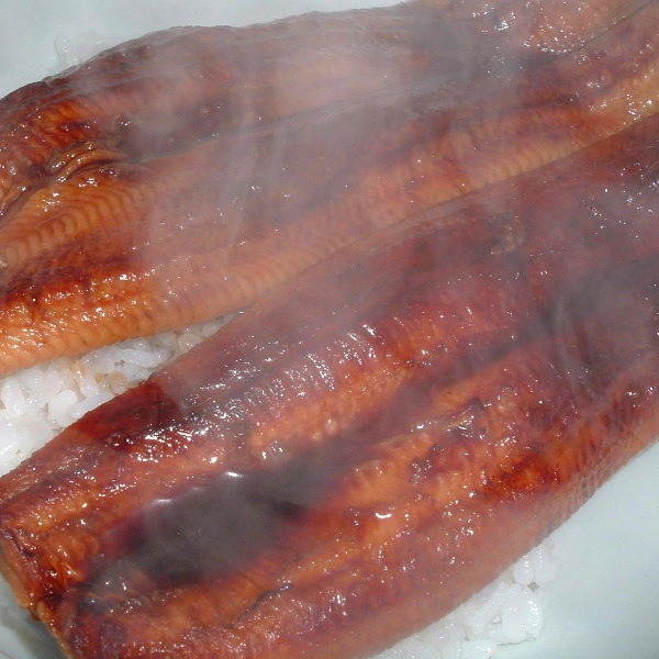 �ڣ��ۡ�ñ��2950��/���ۡ�ñ��10����ͭƬ�����ʤ����Ƥ���ʢ������25��