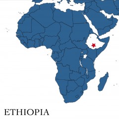 �ʥ������������������ԥ� ���륬�����ե� ���ǥ��� 100g