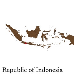 Direct trade * ADENA COFFEE ����ɥͥ��� ���ޥȥ�  ���� ���ʥ�å� 100g