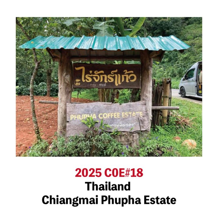 2025COE18��*���� ������ޥ�  �ɥ������å� �ס������� 50g