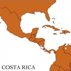 2025�������ꥫ ��������إ쥹 �ɥ󥫥���������500g