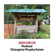 2025COE18��*���� ������ޥ�  �ɥ������å� �ס������� 250g