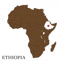 ��������������ԥ� ������ �٥� ����󥿥��CWS 250g