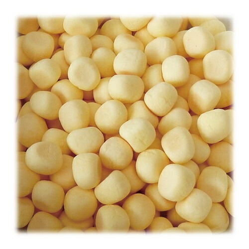 Treats Time Style カルシウムボーロ ミニかぼちゃ 約2g ドッグツリー 国産 犬用 おやつ 無添加 自然素材 おやつ 犬用 ペットライフポッター