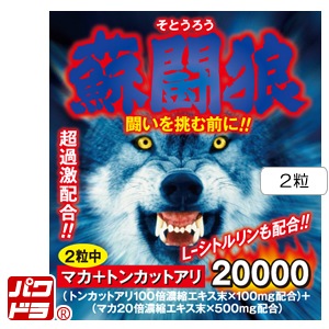 ��Ʈϵ���ץ��룲γ�ѥå�