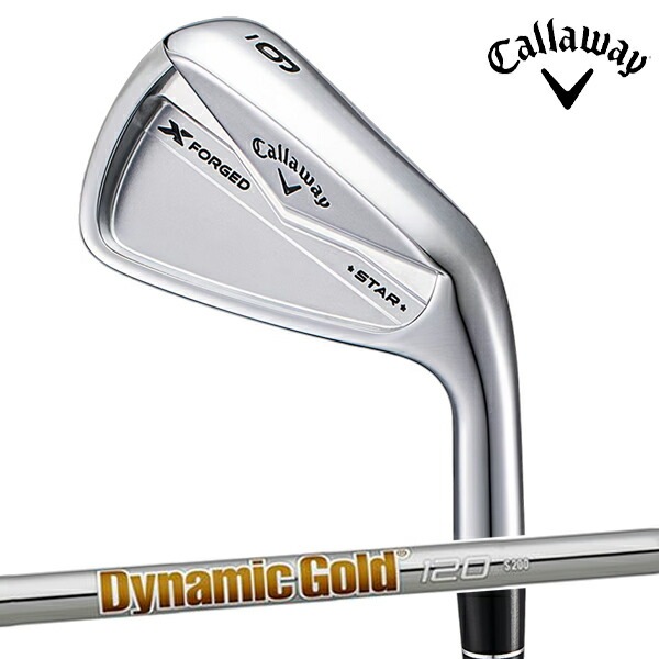 �������ۥ��������������� ��� FORGED 24 ���å��� �ե������� ������ �������� 6����(5-9��PW) Dynamic Gold 120 �������륷��ե� Callaway �������� ���åȡ�24��