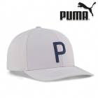 �ס��ޥ���� 2025ǯ���ߥ�ǥ� ��� �إ�ơ��� P ����å� 026133��25��