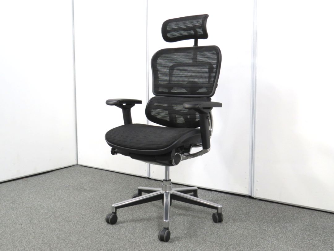 中古】ベーシックチェア エルゴヒューマン ヘッドレスト 可動肘 中古
