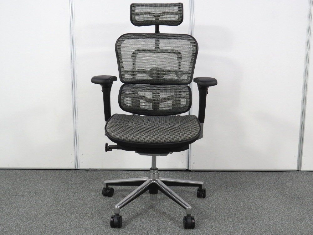 中古】ベーシックチェア エルゴヒューマン ヘッドレスト 可動肘 中古