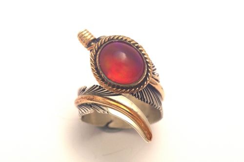 【POWWOWナゲッツ】 ナバホリング ハーヴィー・メイス作 《カーネリアン / 12KGF》 19号