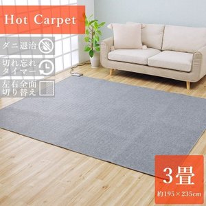 MORITA ¥Û¥Ã¥È¥«¡¼¥Ú¥Ã¥È 235¡ß195Ñ 3¾ö TMC-300