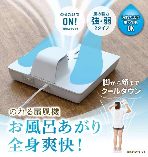 サンコー お風呂あがり全身爽快 のれる扇風機 BDYFANHWH