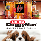 ��2025/6��������100�����ƥ�ʾ��ɲå�����ۥɥ����ޥ�ϥ䥷���ڥåȥա��� ȯ������ʸ���ʥꥹ��