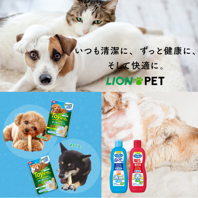 �ڥ饤�����LION�ڥåȡ��ڥå����� ȯ������ʸ���ʥꥹ�ȡ���2025/4����