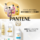 �����ѥ�������ò��ʡ�P&G���ԡ�����ɥ�����ѥ�ơ����谷�����ʰ�������2025/11���ʥꥹ�ȹ���