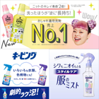 kaoֲȯʸʥꥹȡॱ䡡2025/3ꥹȹ