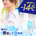 ڥ󥳡SENA24HWH ʥУ̣գ