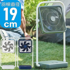 �ɥ������㡡 type-T  �ե�����ǥ��󥰥ե���FBV-193B��3���ʥۥ磻�ȡ��ͥ��ӡ������꡼�֡�