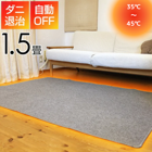 ��MORITA�� �ۥåȥ����ڥåȡ��ʥ��� 180��126�� 1.5�� TMC-150	 	