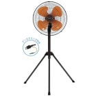 ���� KODEN ������43.5cm���ӥ����� CFF435TPB ����������å����Ÿ��ץ饰