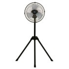 ���� KODEN ������25cm���ӥ����� CFF253TMA