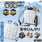 ڥҥݥ졼ۤҤꥯѥåѡHDL-9589