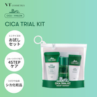 ��VT������ƥ�������VT CICA �ȥ饤���륭�å�(���������ʡˡ��ڢ�Ǽ������ǧ���������������ˤ����ʥ����