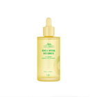 ��VT������ƥ�������VT CICA �Х����륨�å���(���������ʡˡ��ڢ�Ǽ������ǧ���������������ˤ����ʥ����