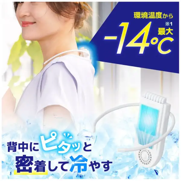 ���߸˸¤ꡪ����ʪ�߸˽�ʬ�ò����ڥ��󥳡��ۥ��ʥ�����У̣գӡ�2���ʥ��졼���塦�ۥ磻�ȡˡ�SENA24H