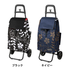 �ڥ�åס�COCORO �ե� �����ȥ��å� 2���ʥ֥�å����ͥ��ӡ��ˡ�5��ñ�̥�������10�Ĥ�����ʸ��ǽ��