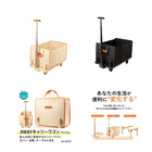 �����̸��ꡪ�ڥޥ�󾦻��ۥ�˥���꡼ ������˹�碌�ƿ���ʷ����ѷ�����4WAY����꡼�若��  2���ʥ١����塦�֥�å��ˡ�10��ñ�̥�������20�İʾ夫����ʸ��ǽ��