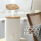 ��2025�����ʡ��ڥ��꡼���åס�HYBRID WOOD MOIST HB-T2581 �ϥ��֥�åɲü��� ���åɥ⥤���ȡ�2���ʥ����ܥ꡼�����졼����ˡ������ȴ��4,980����ۡ�4��ñ�̥�������16�İʾ夫����ʸ��ǽ��