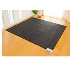 �ڥ��󥱥���ż���99%���åȡ��ŵ��ۥåȥ����ڥåȡ�ZCB-30P��3������